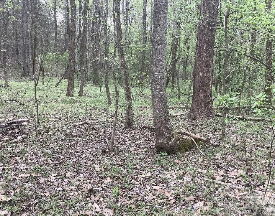 0 Crestview Road Waxhaw, NC 28173 - Photo 4 of 6