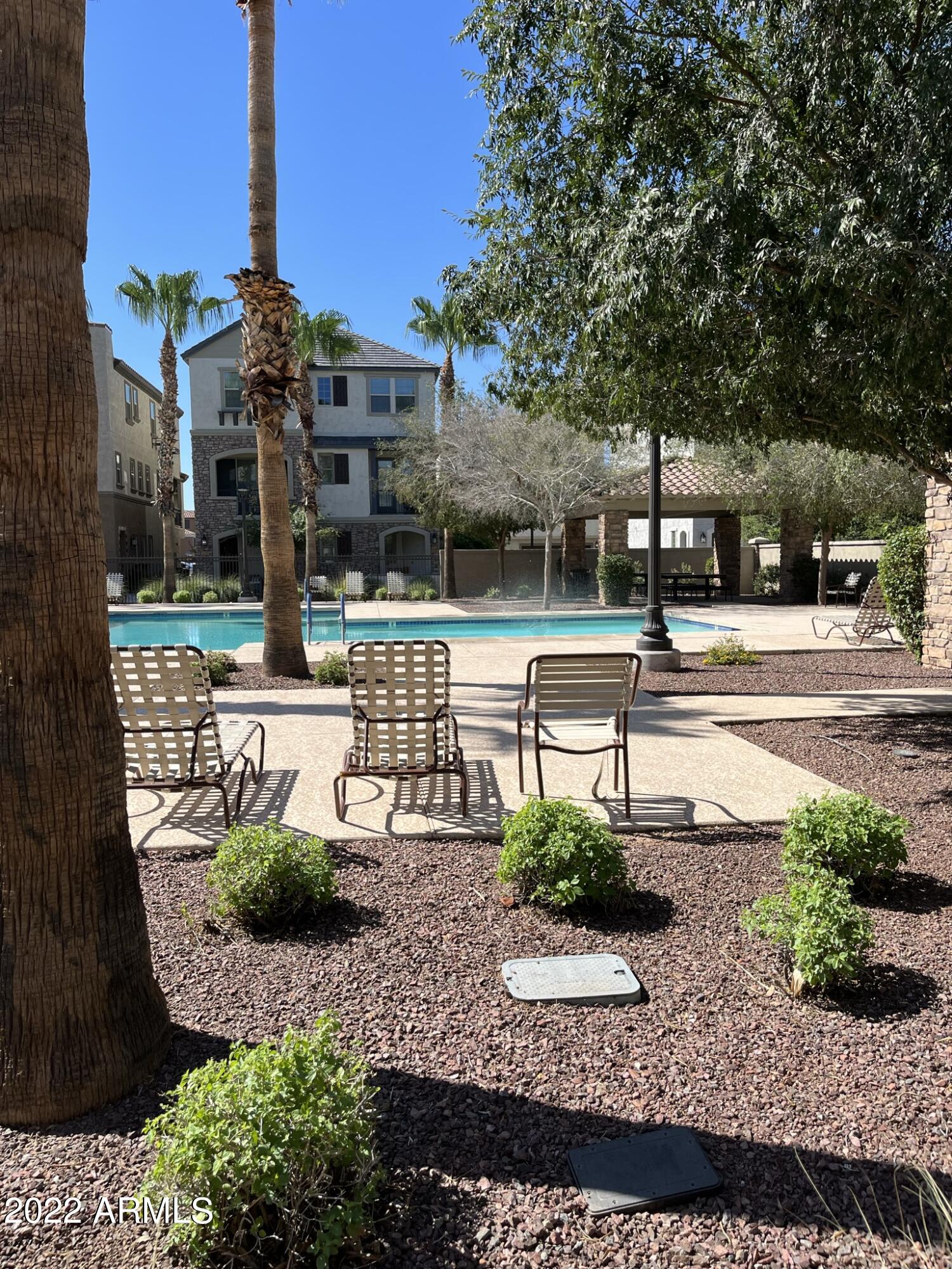 1737 East Hampton Lane Gilbert, AZ 85295 - Photo 14 of 15 a view of a park with potted plants and large trees
