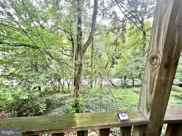 a view of a garden with plants