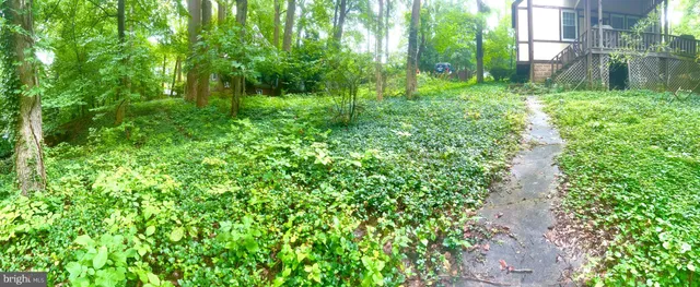 $600,000 | 911 Sligo Creek Parkway, Takoma Park, MD 20912