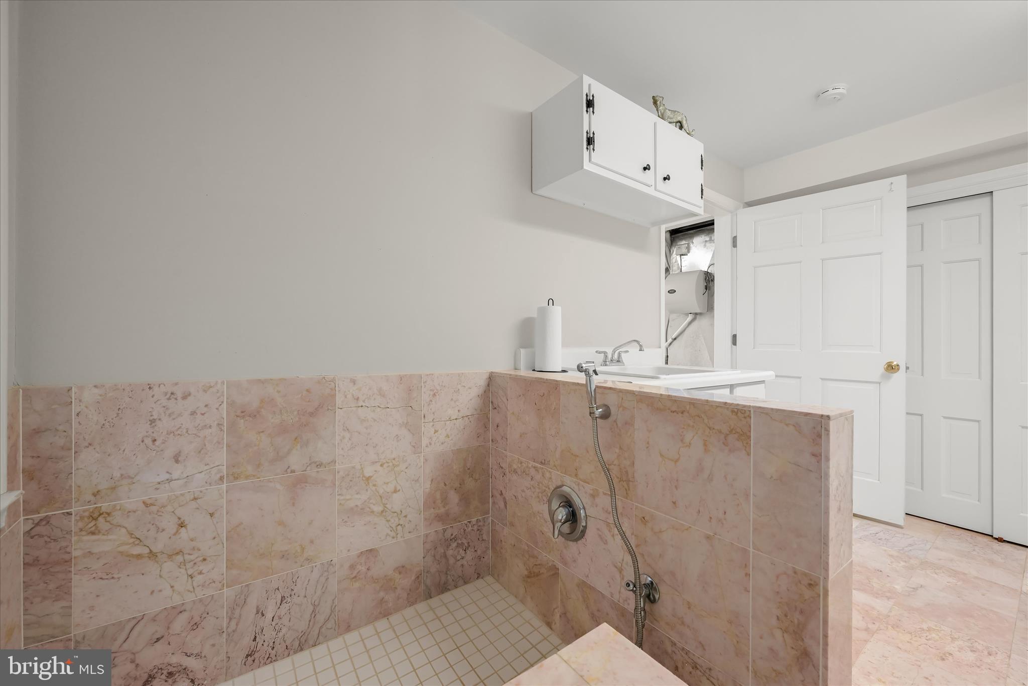 1112 Hampton Garth Baltimore, MD 21286 - Photo 67 of 95 Dog Wash Station