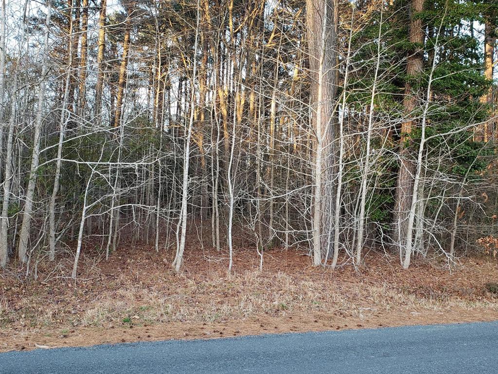 Lot 35 Country Club Road, Unit 35D Melfa, VA 23410 - Photo 5 of 17