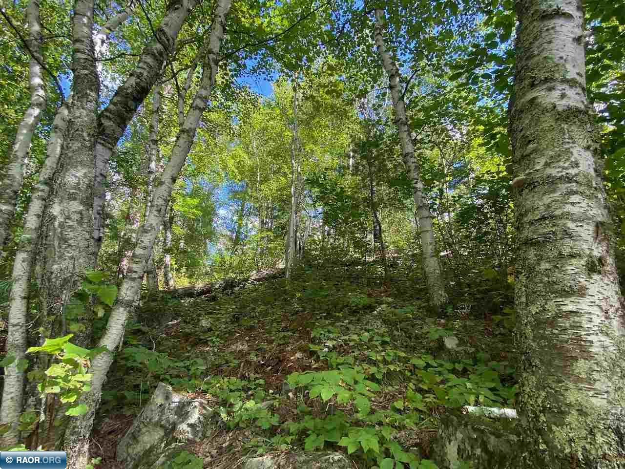 Tbd Lot 7 Wilderness Way Road Orr, MN 55771 - Photo 15 of 20 Gallery Image 15