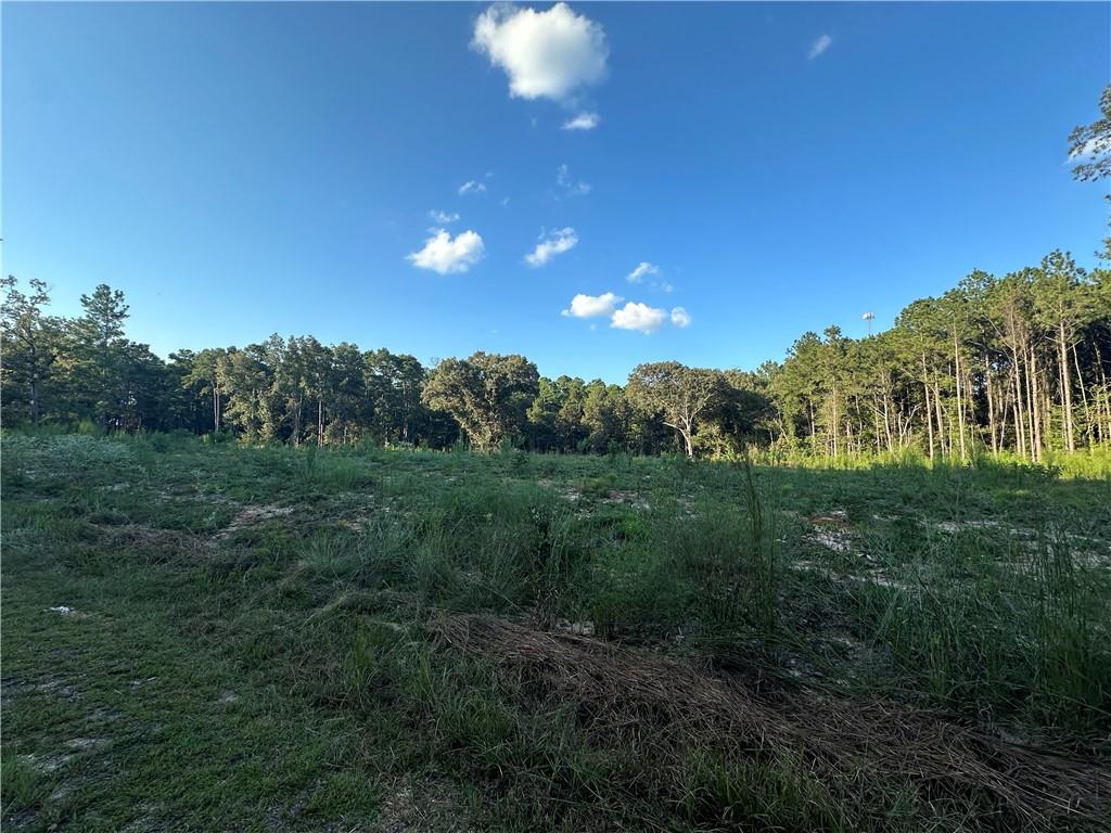 0 Walker Creek Road Boyce, LA 71409 - Photo 1 of 5 Gallery Image 1