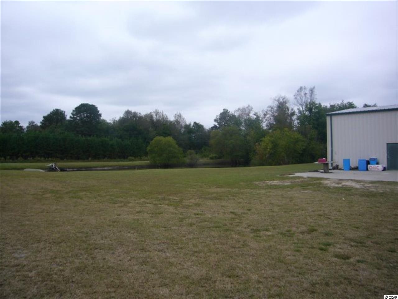 2339 Daisy Road Loris, SC 29569 - Photo 9 of 10 Gallery Image 9