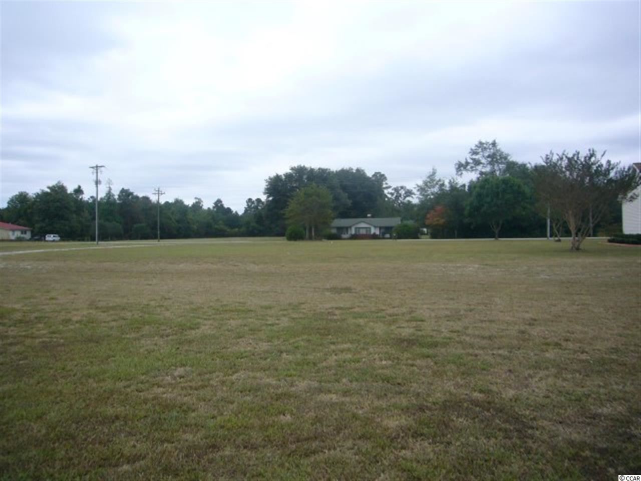 2339 Daisy Road Loris, SC 29569 - Photo 10 of 10 Gallery Image 10