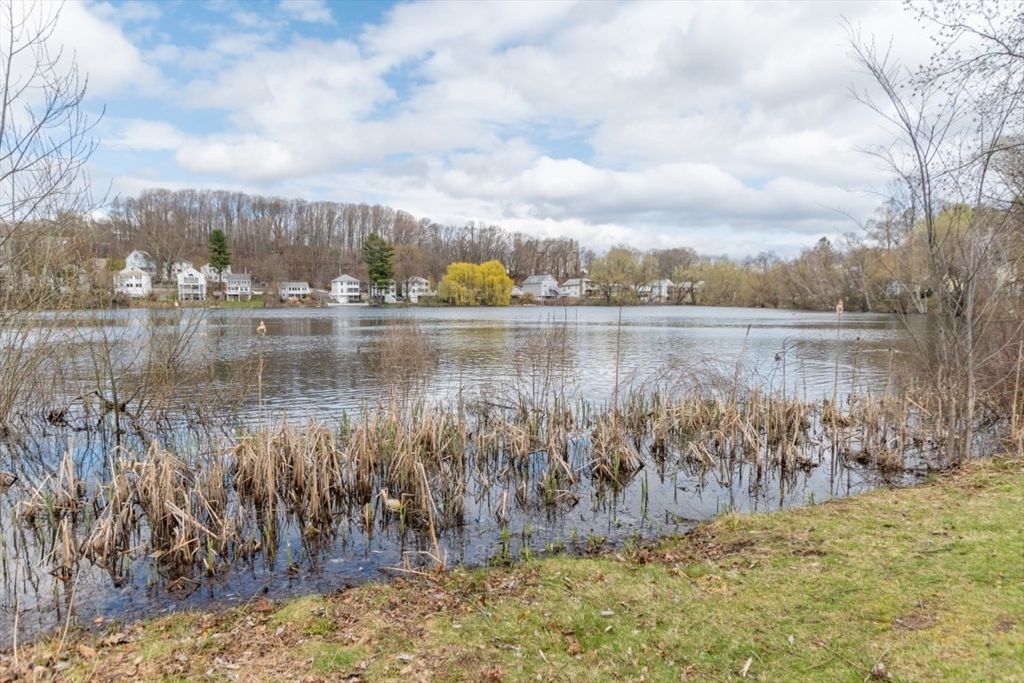 121 Lake Shore Road, Unit 2 Boston, MA 02135 - Photo 28 of 32 a view of a lake with houses in the back