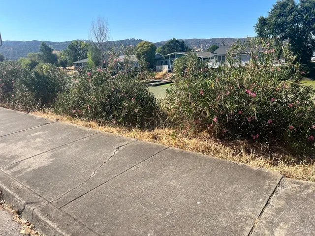 a view of a dry yard with mountain