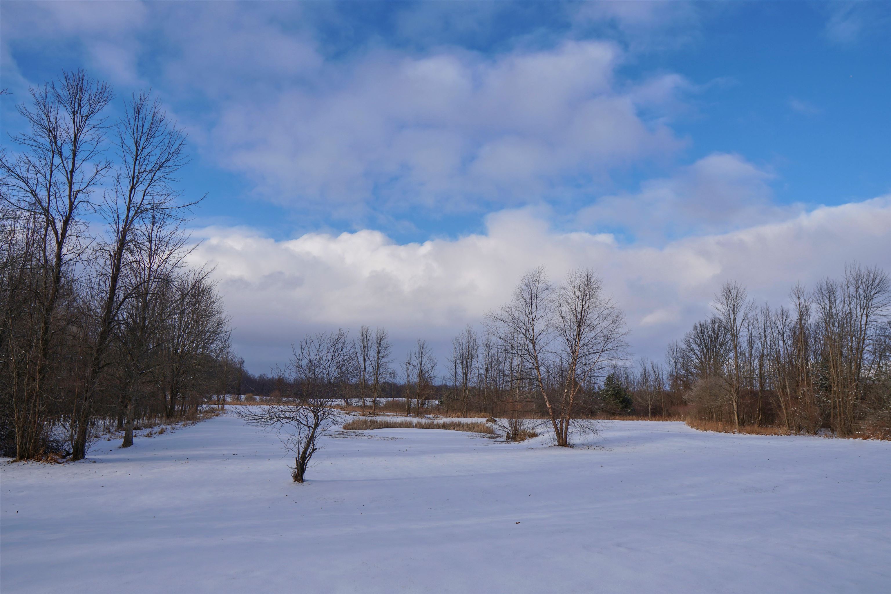 3480 West Remus Road Mount Pleasant, MI 48858 - Photo 21 of 26 1897564-20.JPG