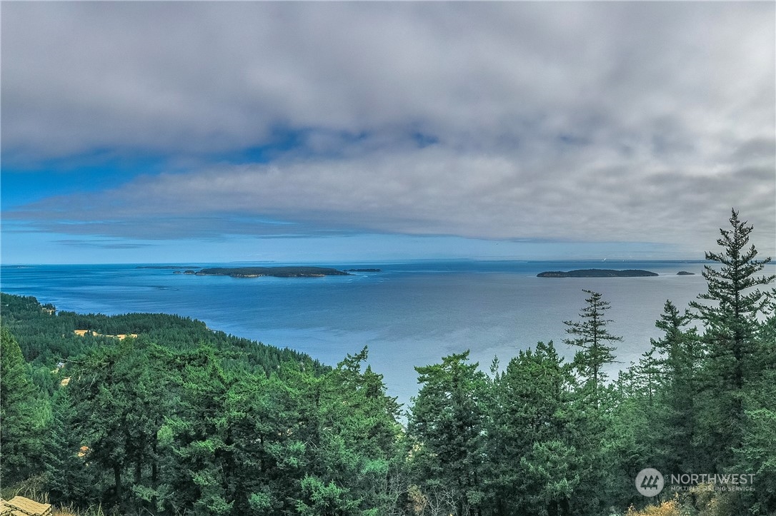 a view of a yard and an ocean in back
