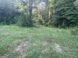 1799 Shady Oaks Road Wrens, GA 30833 - Photo 1 of 3 IMG_8406