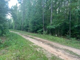 1799 Shady Oaks Road Wrens, GA 30833 - Photo 2 of 3 IMG_8408