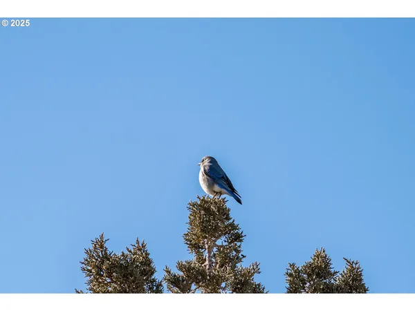 $1,995,000 | 16368 South W Hat Rock Loop, Powell Butte, OR 97753