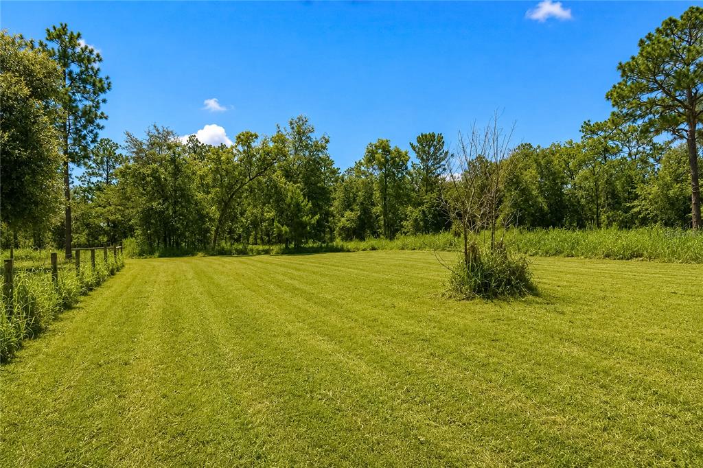 181 Windy Hills Road Hawthorne, FL 32640 - Photo 9 of 47 Gallery Image 9