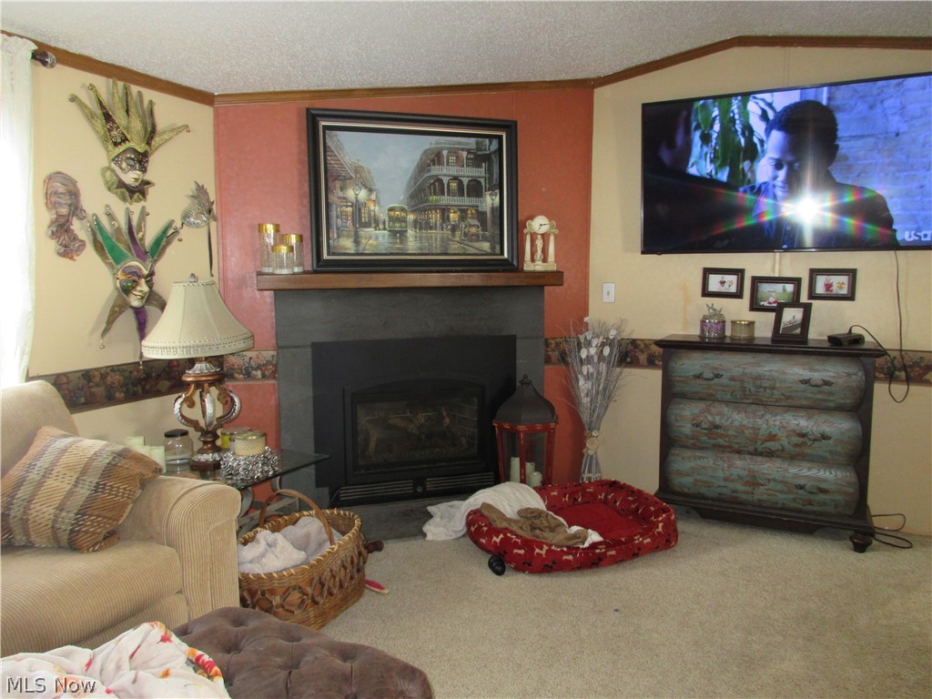 4546 Pymatuning Lake Road Andover, OH 44003 - Photo 4 of 13