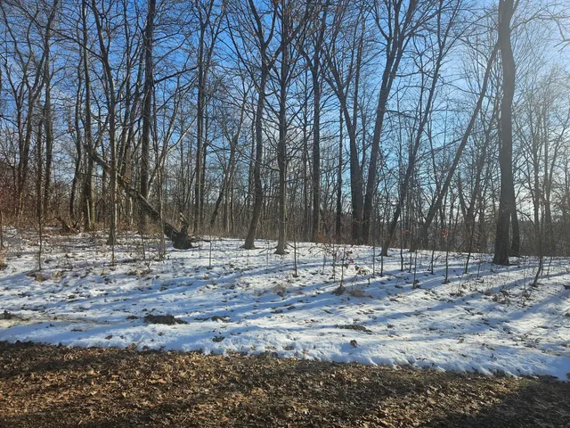 $30,000 | 9450 Deepwoods Lane, Unit LOT 53, Bagley, WI 53801