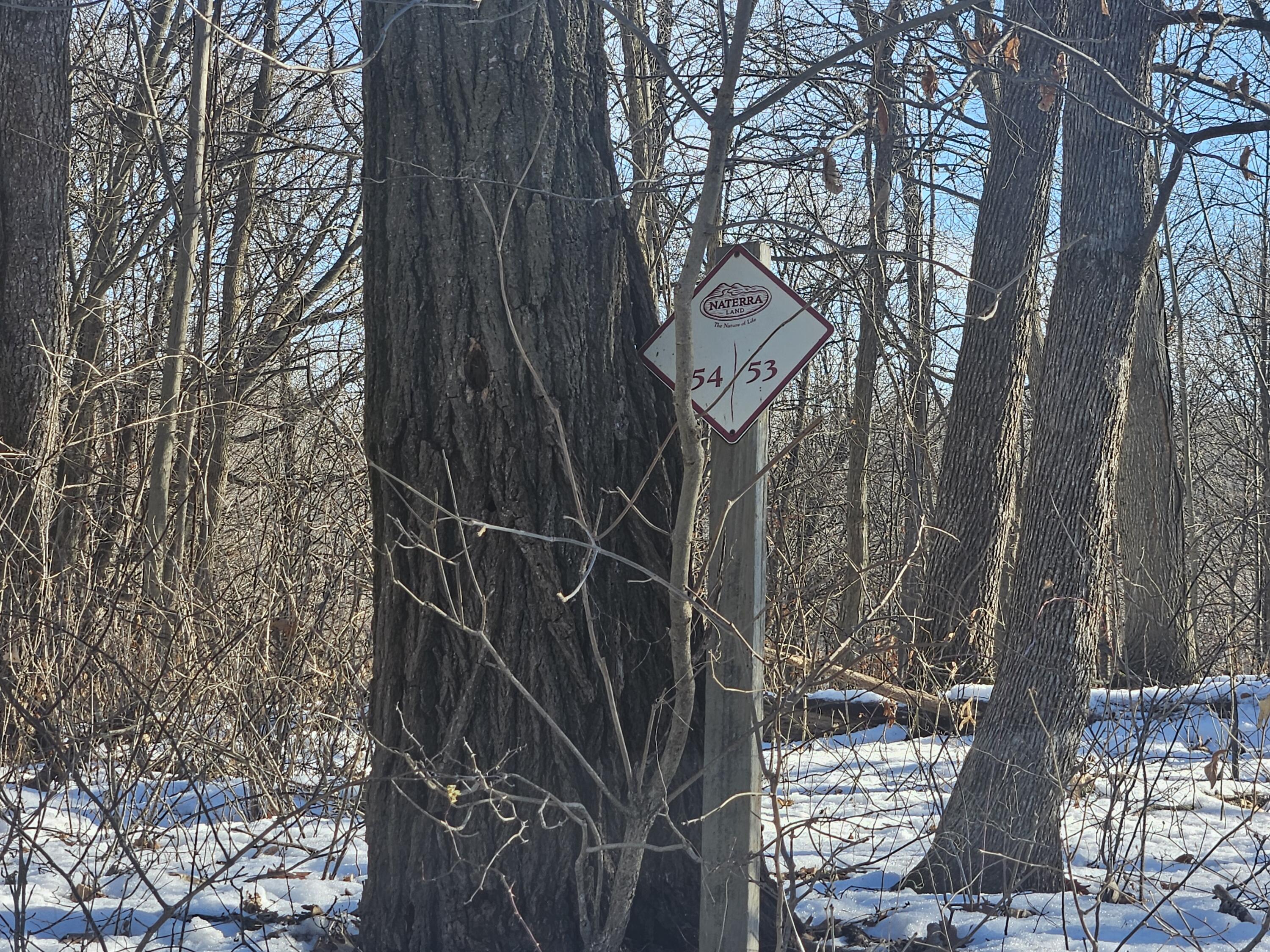 9450 Deepwoods Lane, Unit LT53 Bagley, WI 53801 - Photo 2 of 9 Look for Sign