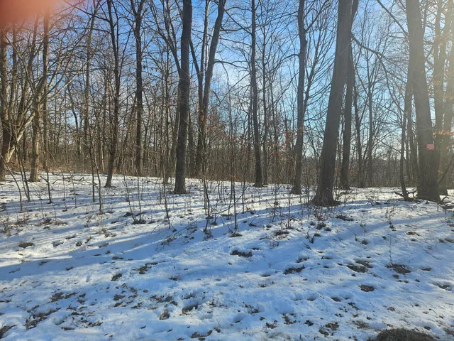 $30,000 | 9450 Deepwoods Lane, Unit LT53, Bagley, WI 53801