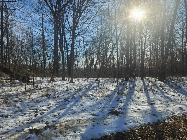 $30,000 | 9450 Deepwoods Lane, Unit LT53, Bagley, WI 53801