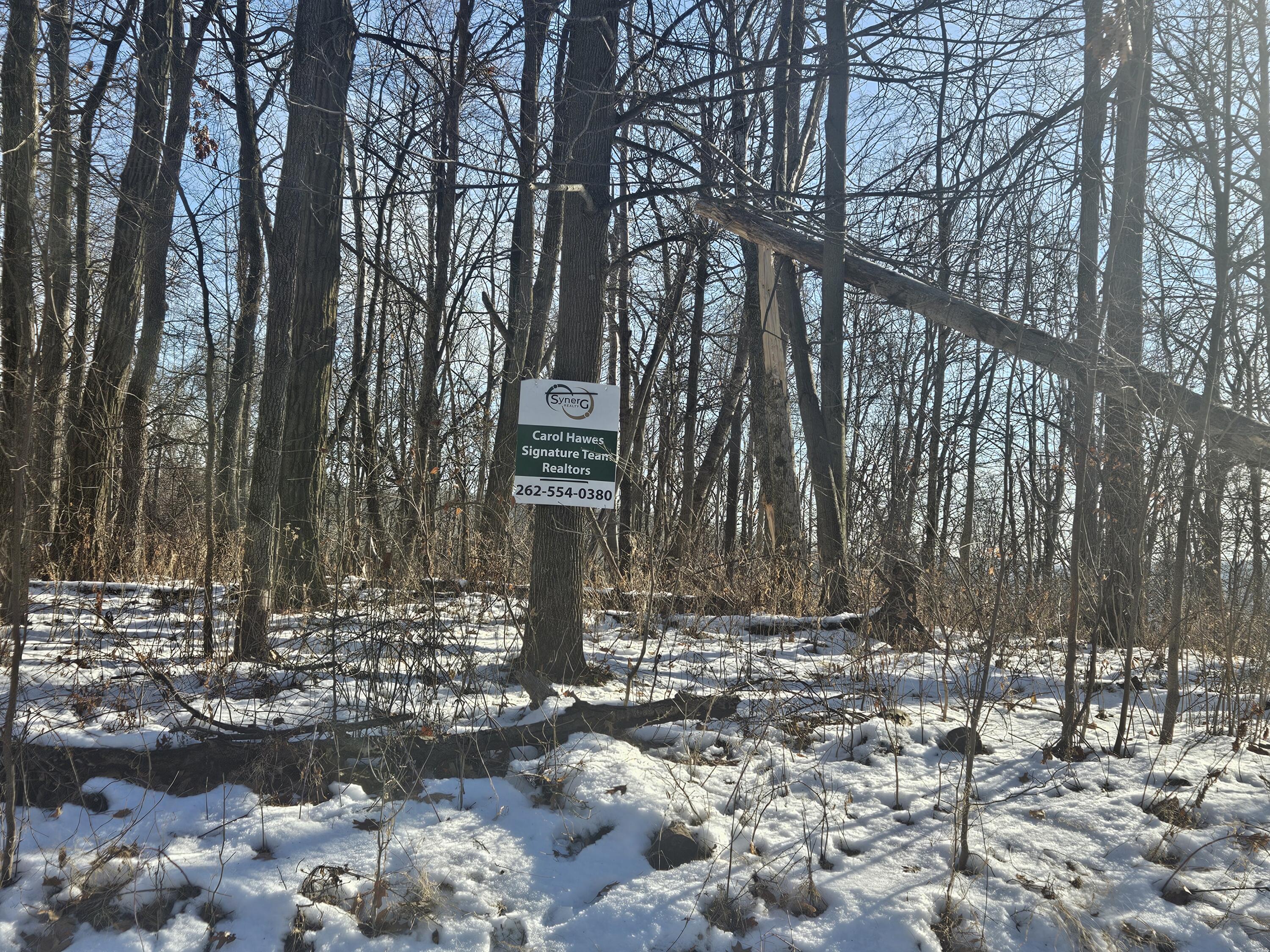 9450 Deepwoods Lane, Unit LT53 Bagley, WI 53801 - Photo 9 of 9 20251223_111949