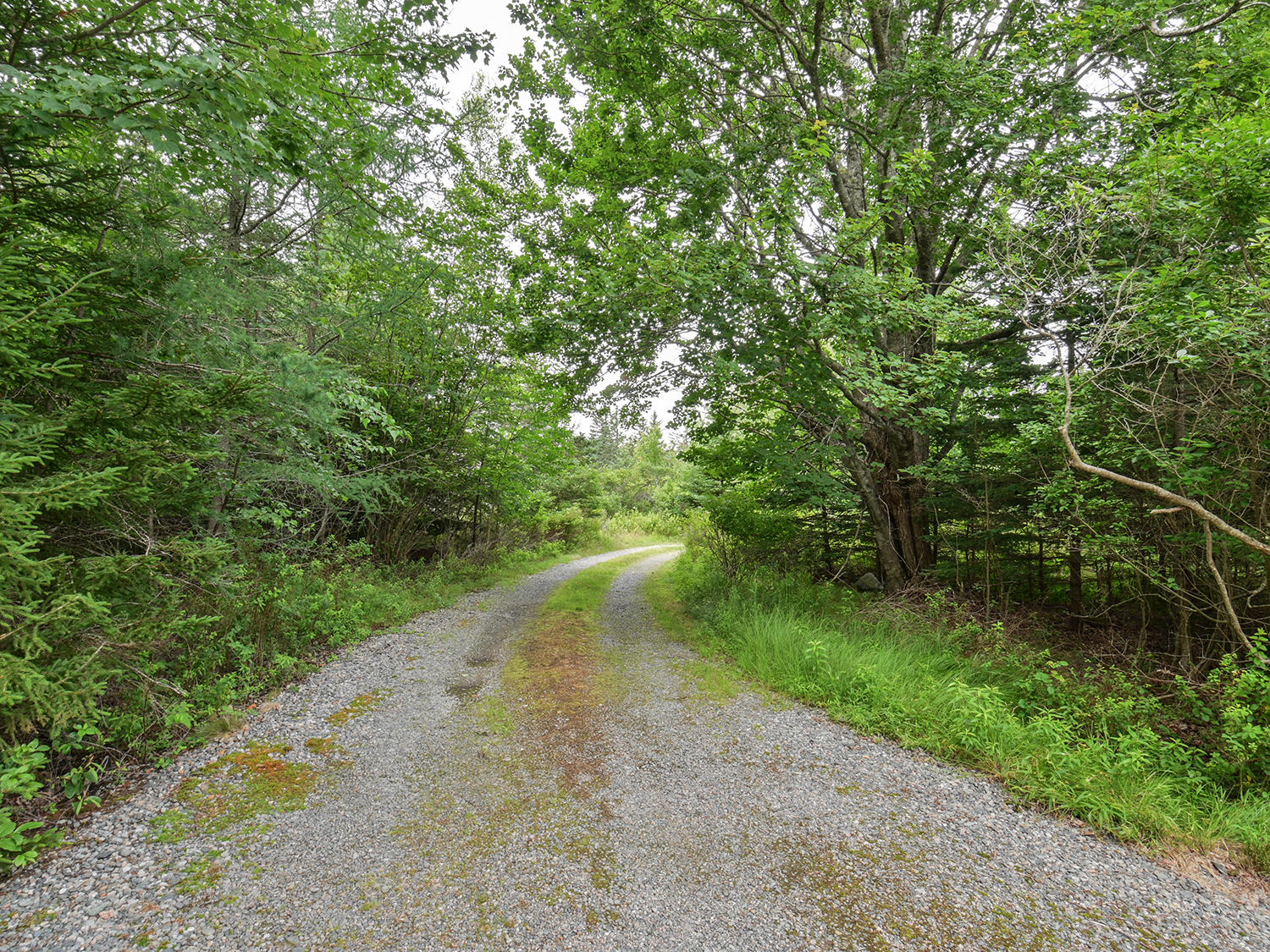 463 Atlantic Road Swans Island, ME 04685 - Photo 49 of 50 Driveway