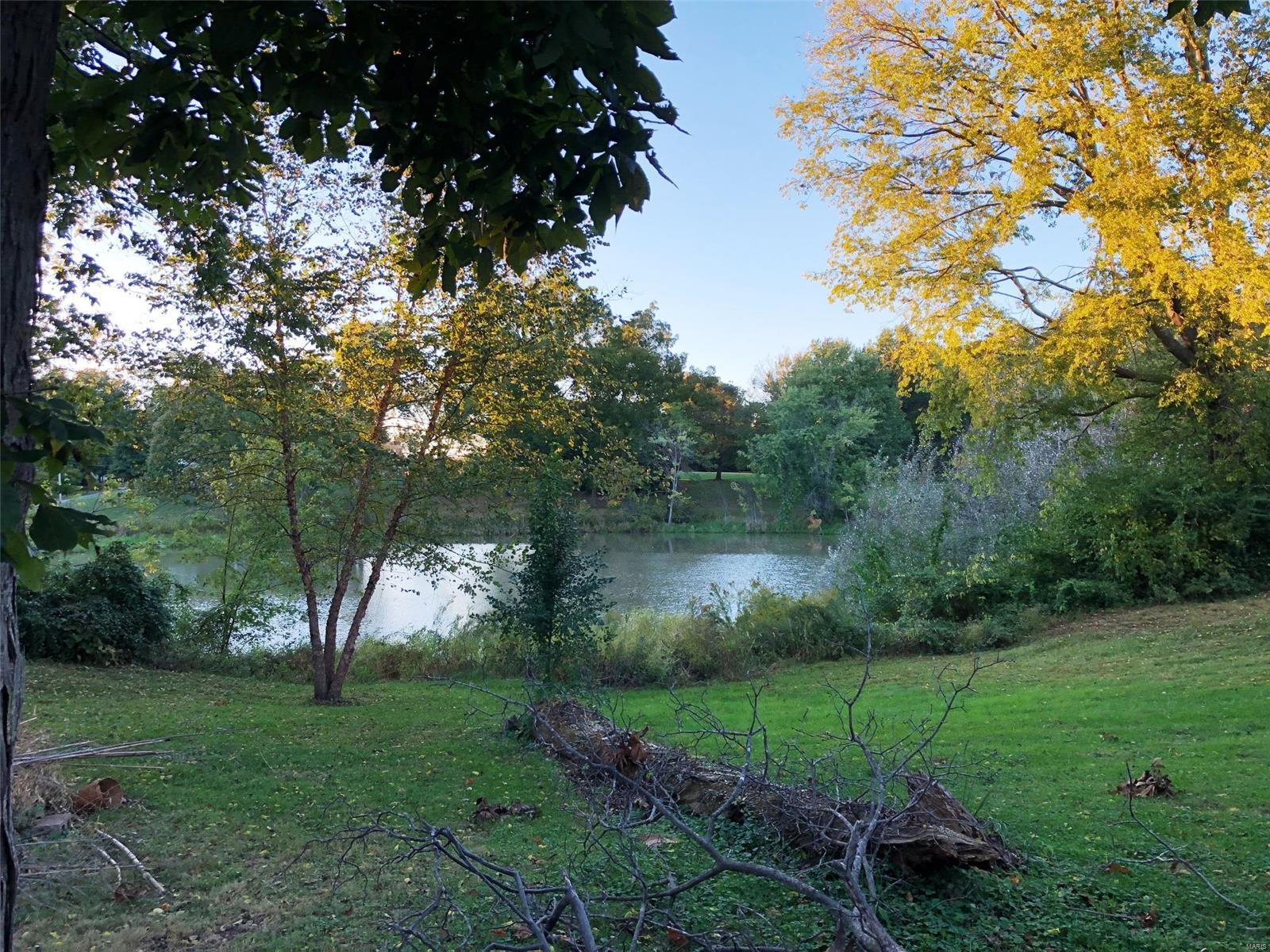 13835 Klaus Lake Road Highland, IL 62249 - Photo 22 of 24