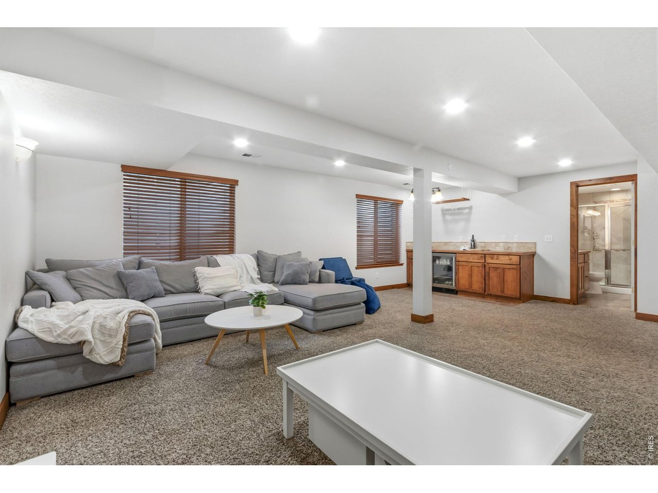 5502 Rabbit Creek Road Fort Collins, CO 80528 - Photo 35 of 44 Basement Rec Room