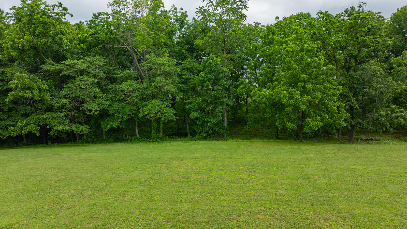1823 Finley Falls Road Seymour, MO 65746 - Photo 71 of 74 DJI_20260527113719_0190_D