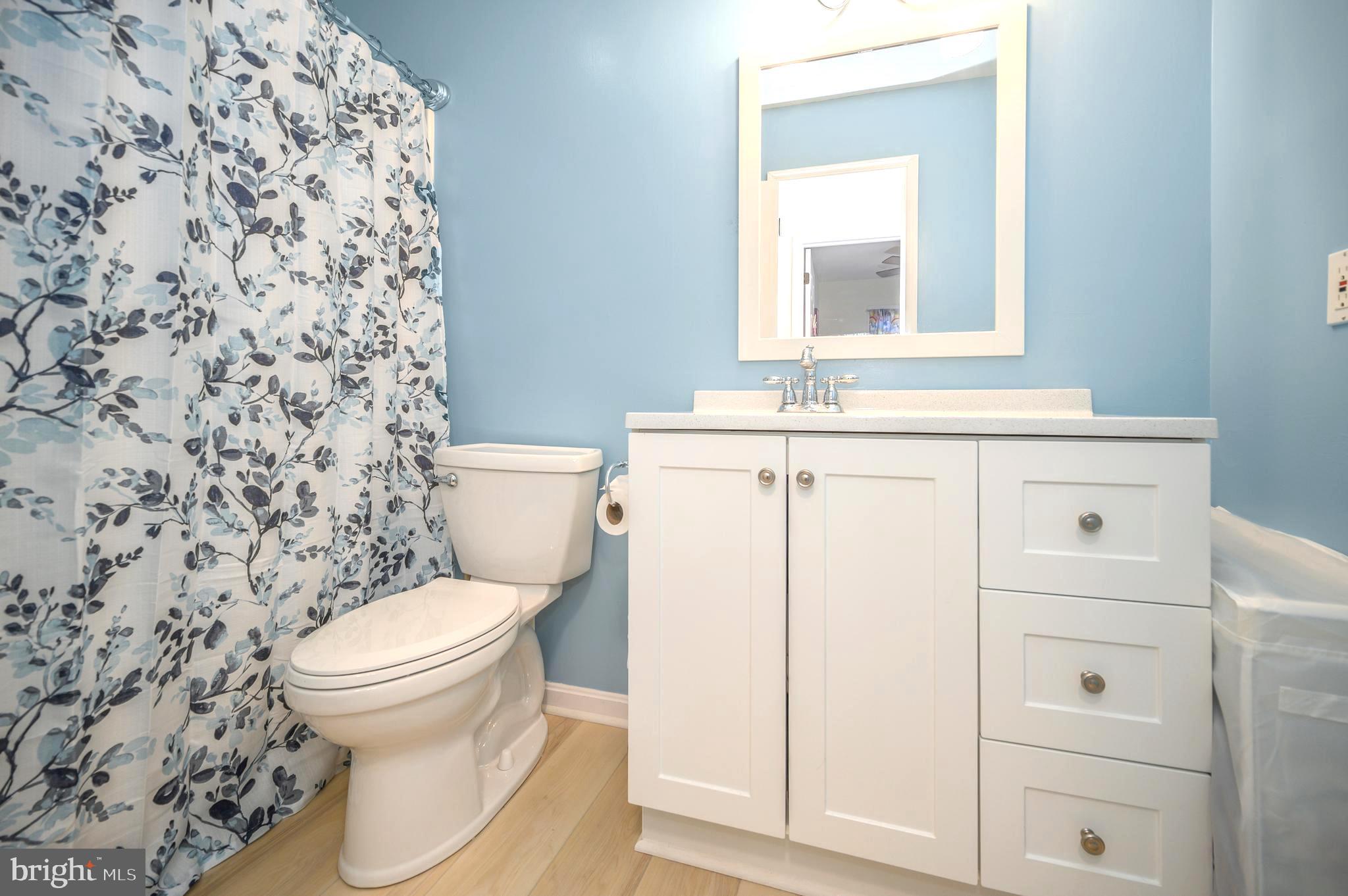 205 Pine Valley Road Locust Grove, VA 22508 - Photo 24 of 42 Beautiful Guest bath