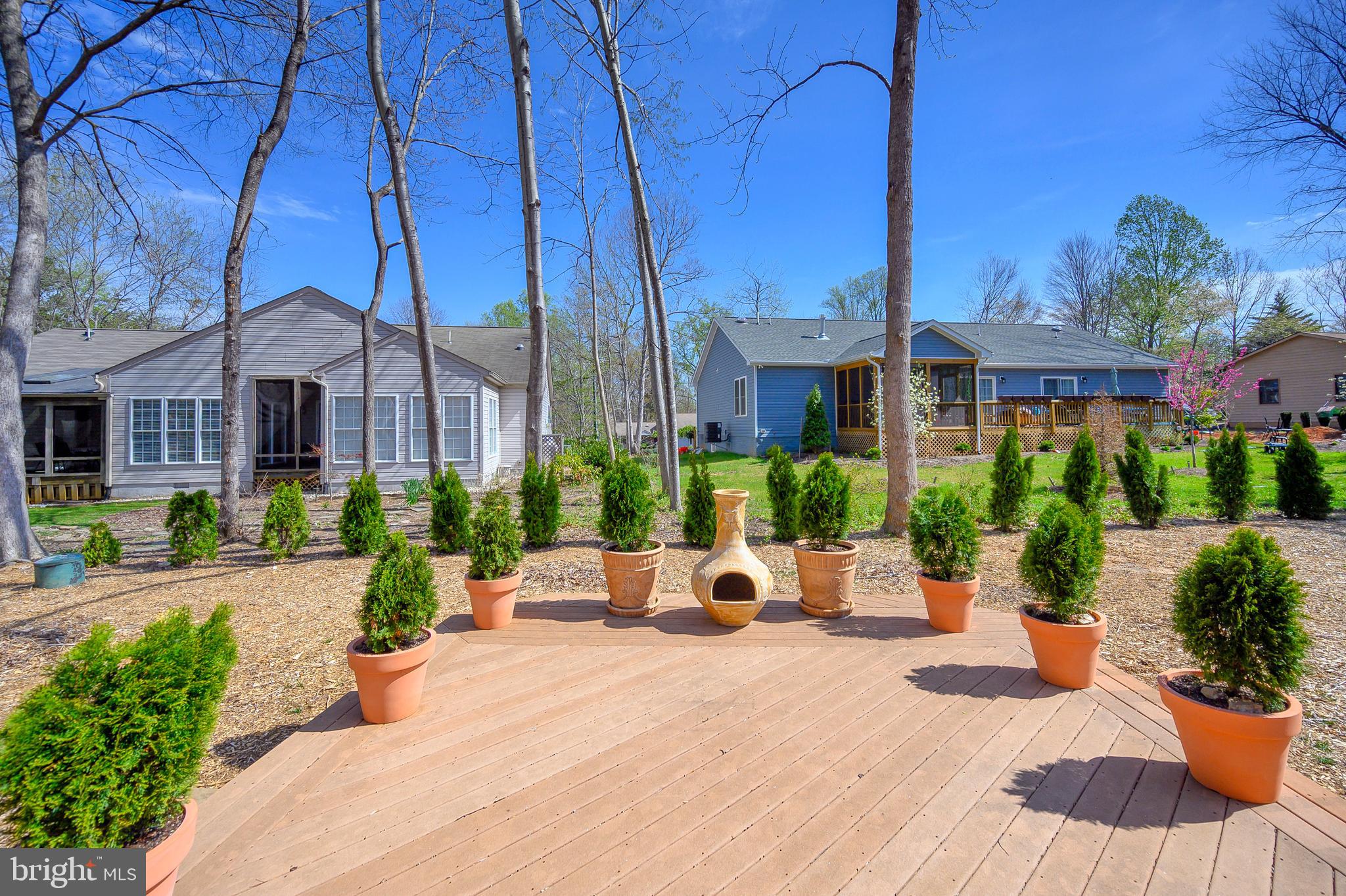 205 Pine Valley Road Locust Grove, VA 22508 - Photo 29 of 42 Early spring portrait from back door