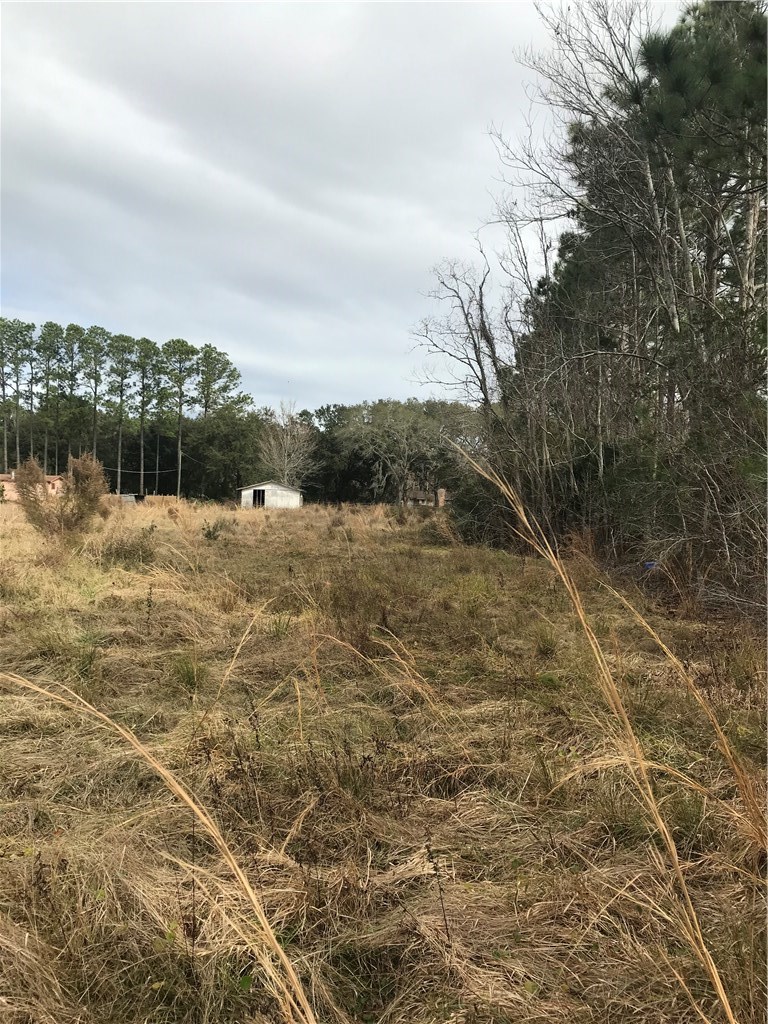 85310 Crews Road Fernandina Beach, FL 32034 - Photo 3 of 6 Gallery Image 3