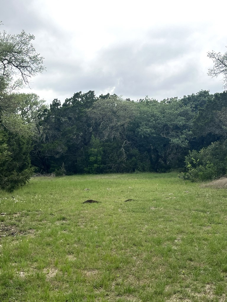 178 North Ringtail Road Camp Wood, TX 78833 - Photo 11 of 62 a view of an ocean