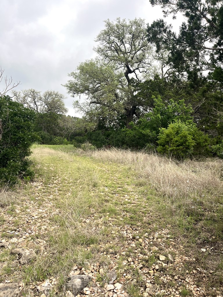 178 North Ringtail Road Camp Wood, TX 78833 - Photo 13 of 62
