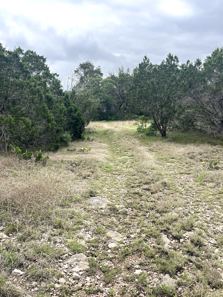 178 North Ringtail Road Camp Wood, TX 78833 - Photo 14 of 62