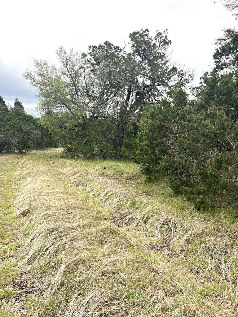 178 North Ringtail Road Camp Wood, TX 78833 - Photo 15 of 62 a view of a lake view