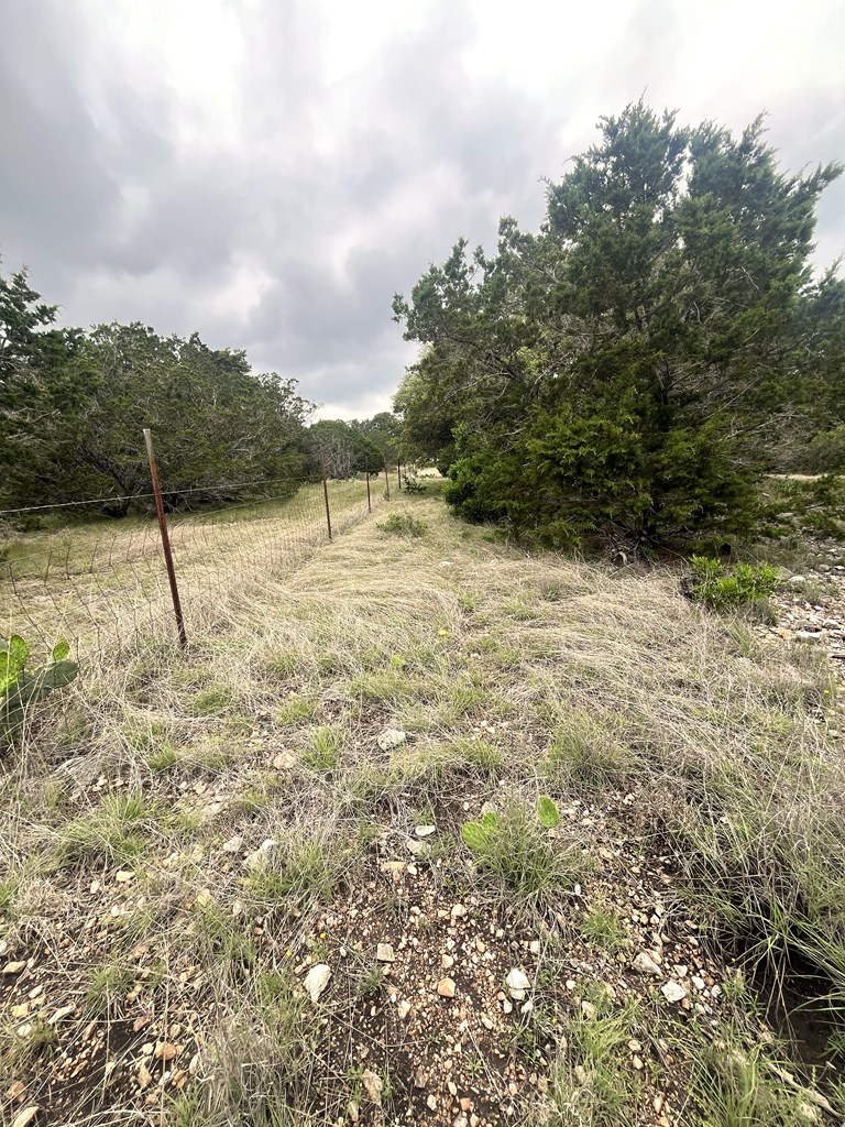 178 North Ringtail Road Camp Wood, TX 78833 - Photo 19 of 62 a backyard of a house with lots of green space