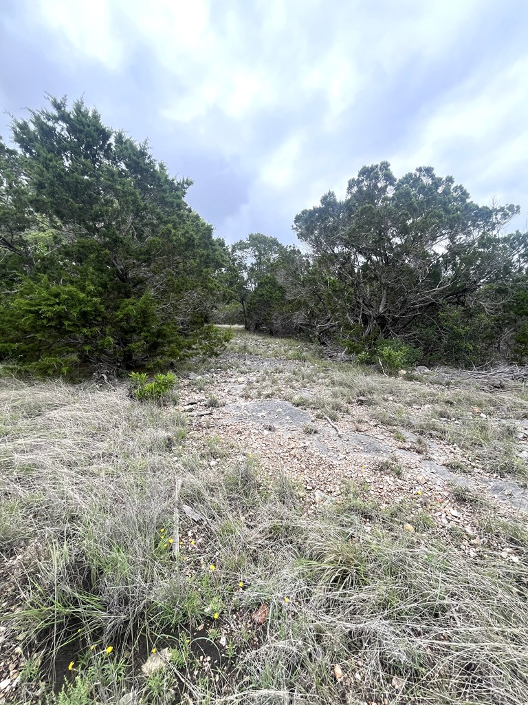 178 North Ringtail Road Camp Wood, TX 78833 - Photo 20 of 62