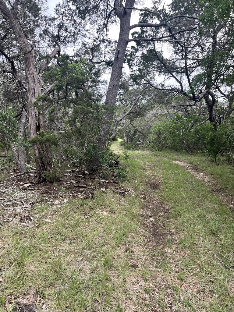 178 North Ringtail Road Camp Wood, TX 78833 - Photo 2 of 62 a view of a field with plants and trees
