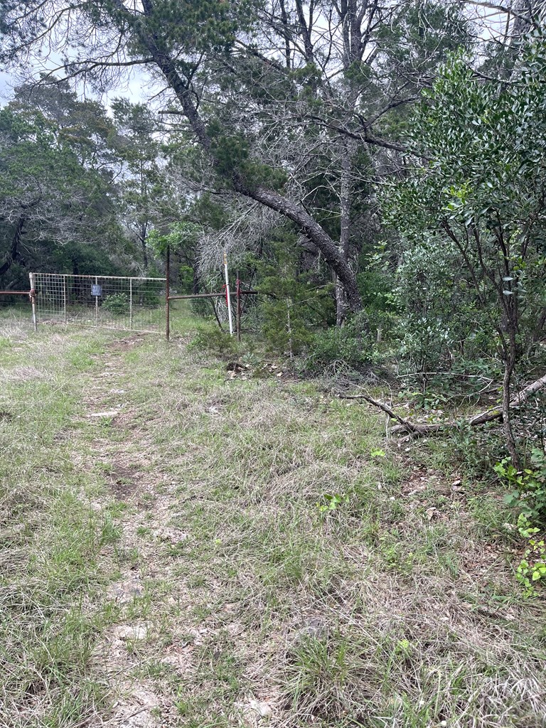 178 North Ringtail Road Camp Wood, TX 78833 - Photo 3 of 62 a backyard of a house with lots of green space