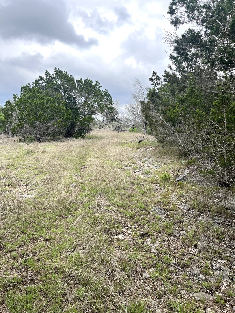 178 North Ringtail Road Camp Wood, TX 78833 - Photo 36 of 62