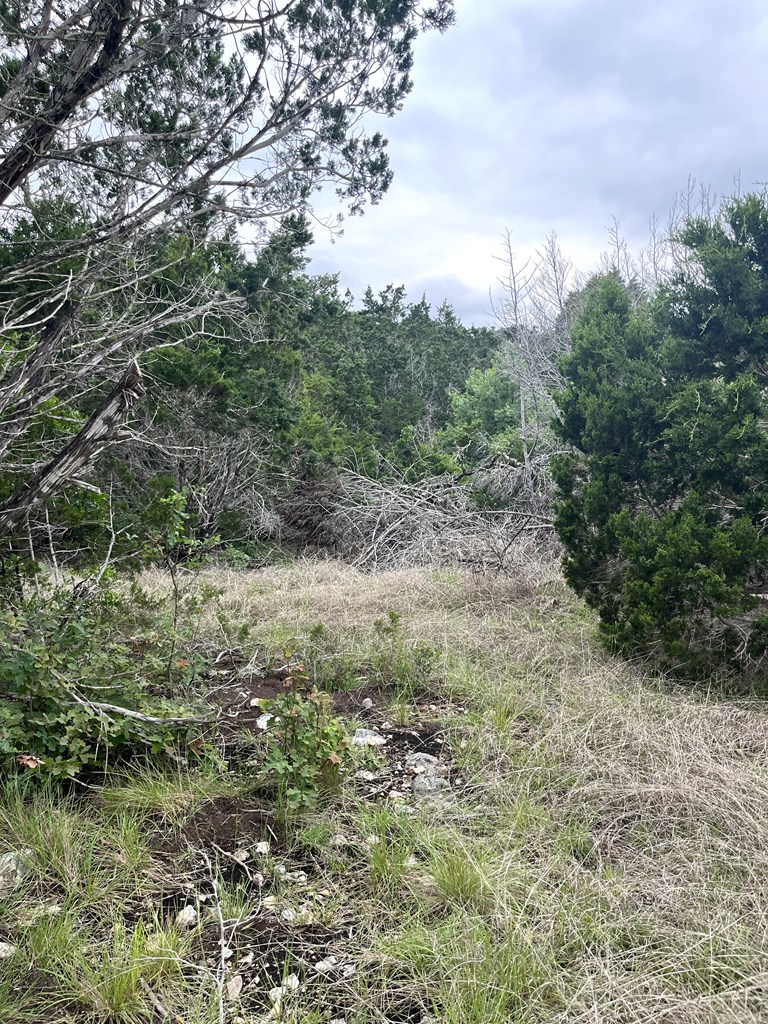 178 North Ringtail Road Camp Wood, TX 78833 - Photo 39 of 62 a view of a yard with plants and a bench