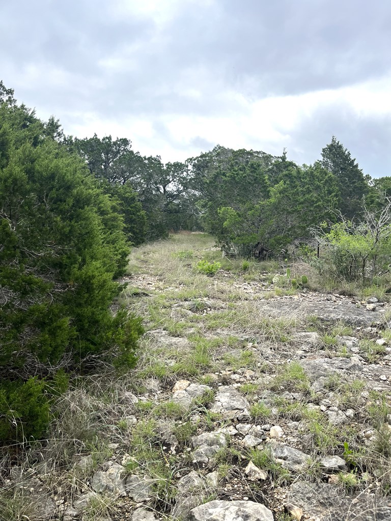 178 North Ringtail Road Camp Wood, TX 78833 - Photo 50 of 62 a view of an outdoor space with a lake view
