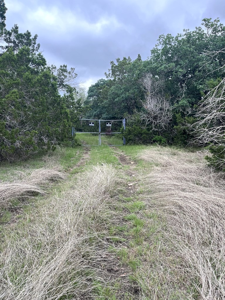 178 North Ringtail Road Camp Wood, TX 78833 - Photo 5 of 62 a view of a yard with a tree