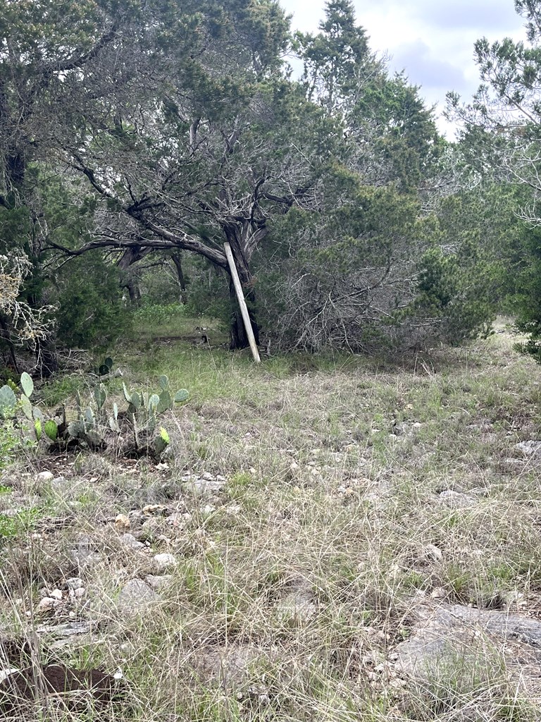 178 North Ringtail Road Camp Wood, TX 78833 - Photo 52 of 62 a backyard of a house with lots of green space