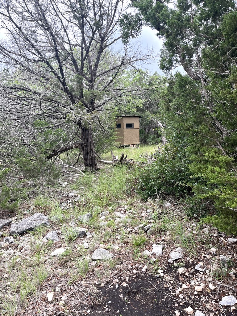 178 North Ringtail Road Camp Wood, TX 78833 - Photo 60 of 62 a backyard of a house with lots of green space