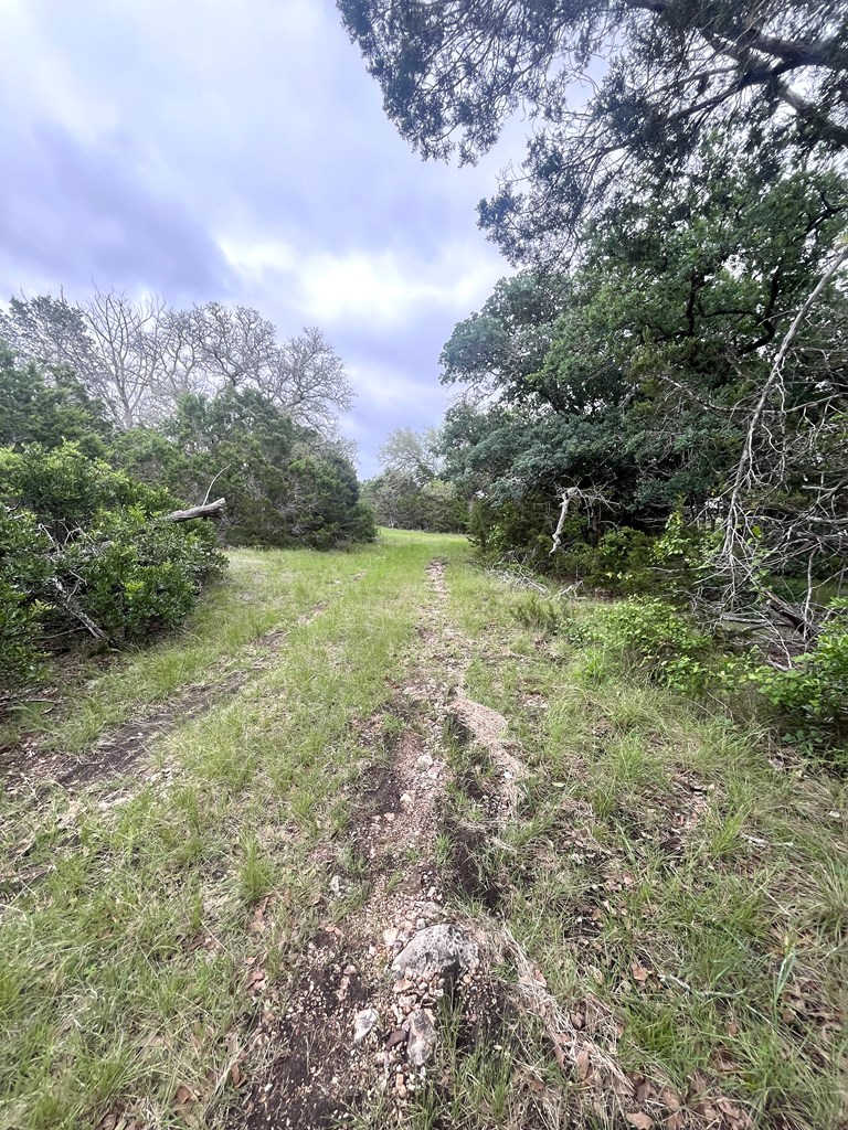 178 North Ringtail Road Camp Wood, TX 78833 - Photo 6 of 62 a view of a field with trees in the background