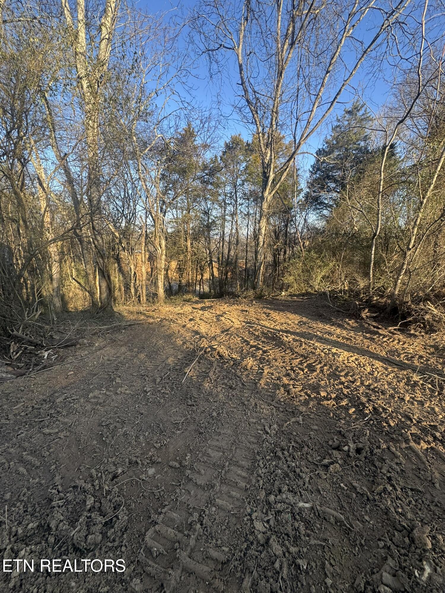 Lot 4 Whittle Road New Market, TN 37820 - Photo 12 of 30 IMG_9956