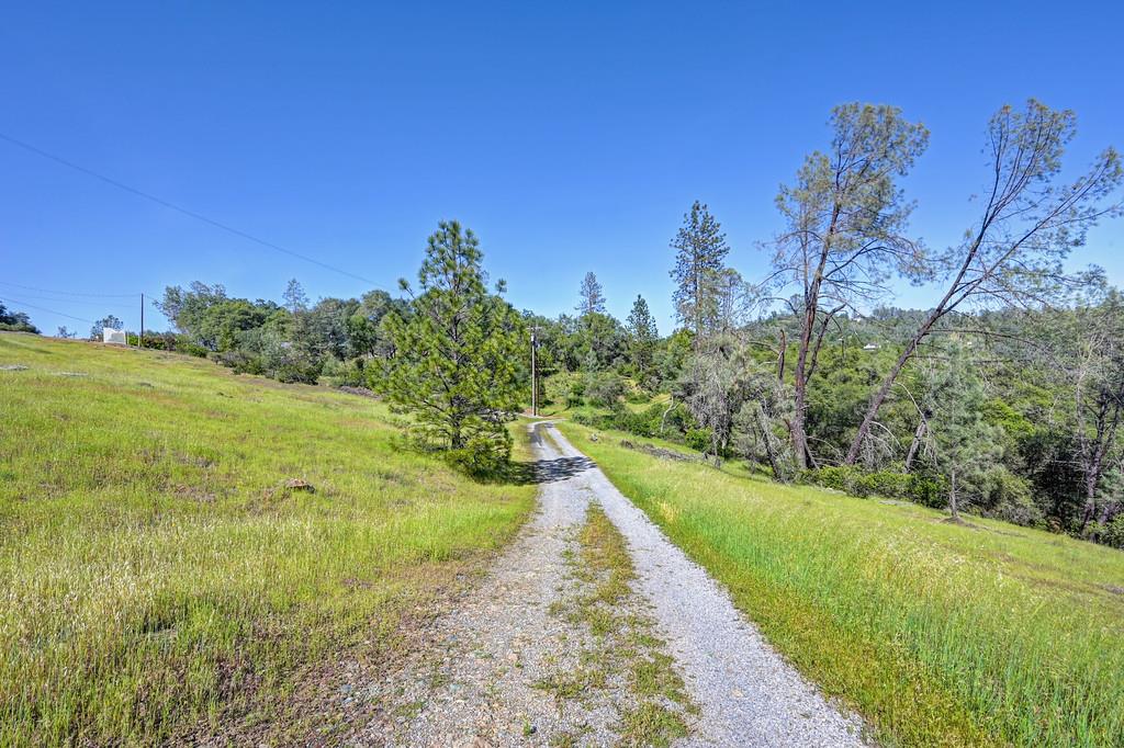 4751 Meadowview Acres Road Cool, CA 95614 - Photo 16 of 51 a view of a yard with an trees