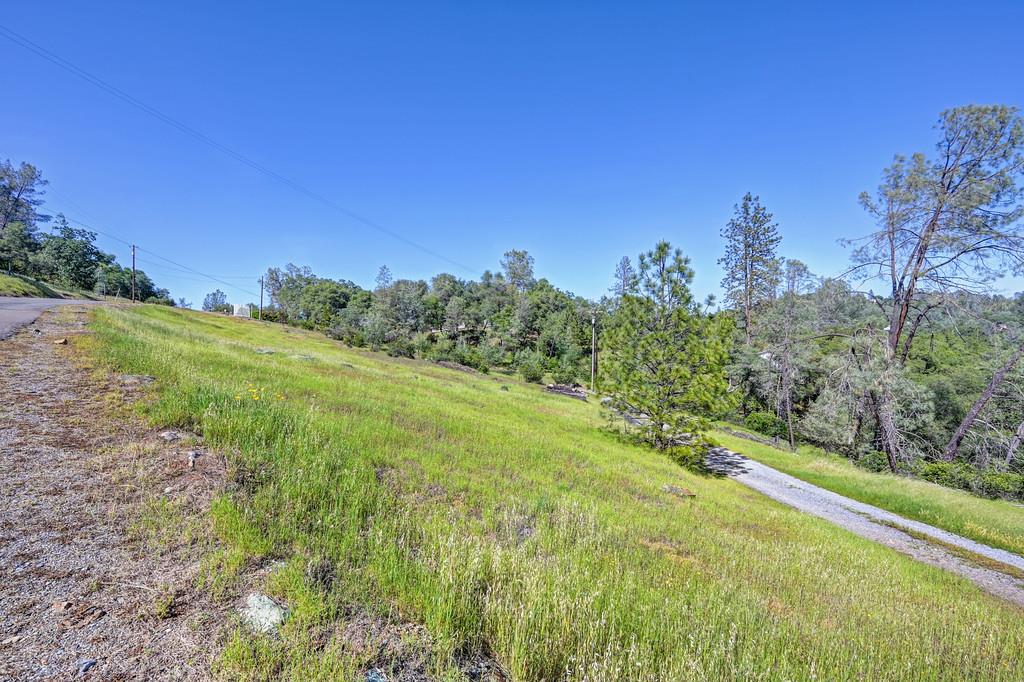 4751 Meadowview Acres Road Cool, CA 95614 - Photo 18 of 51 a view of a big yard with potted plants and large tree