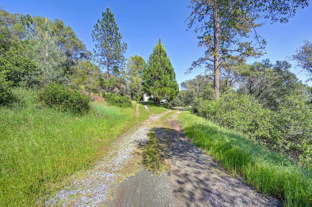 4751 Meadowview Acres Road Cool, CA 95614 - Photo 21 of 51